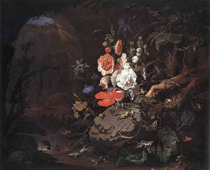 Abraham Mignon The Nature as a Symbol of Vanitas Norge oil painting art